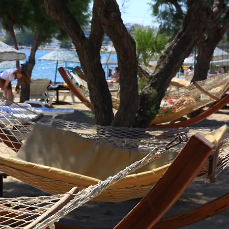 Semesteranläggning (resort) Parkim Ayaz