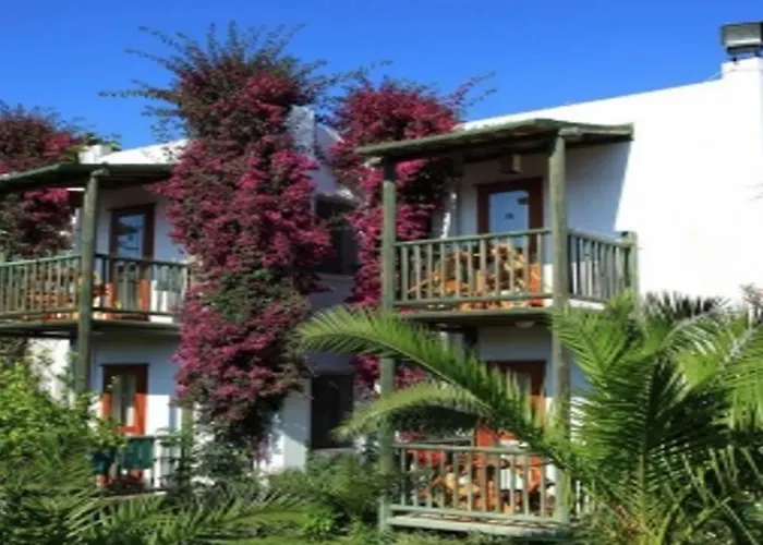 Semesteranläggning (resort) Parkim Ayaz 4*